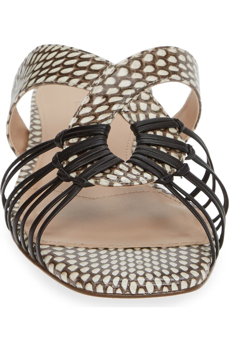 Charles David Silvy Sandal, Alternate, color,