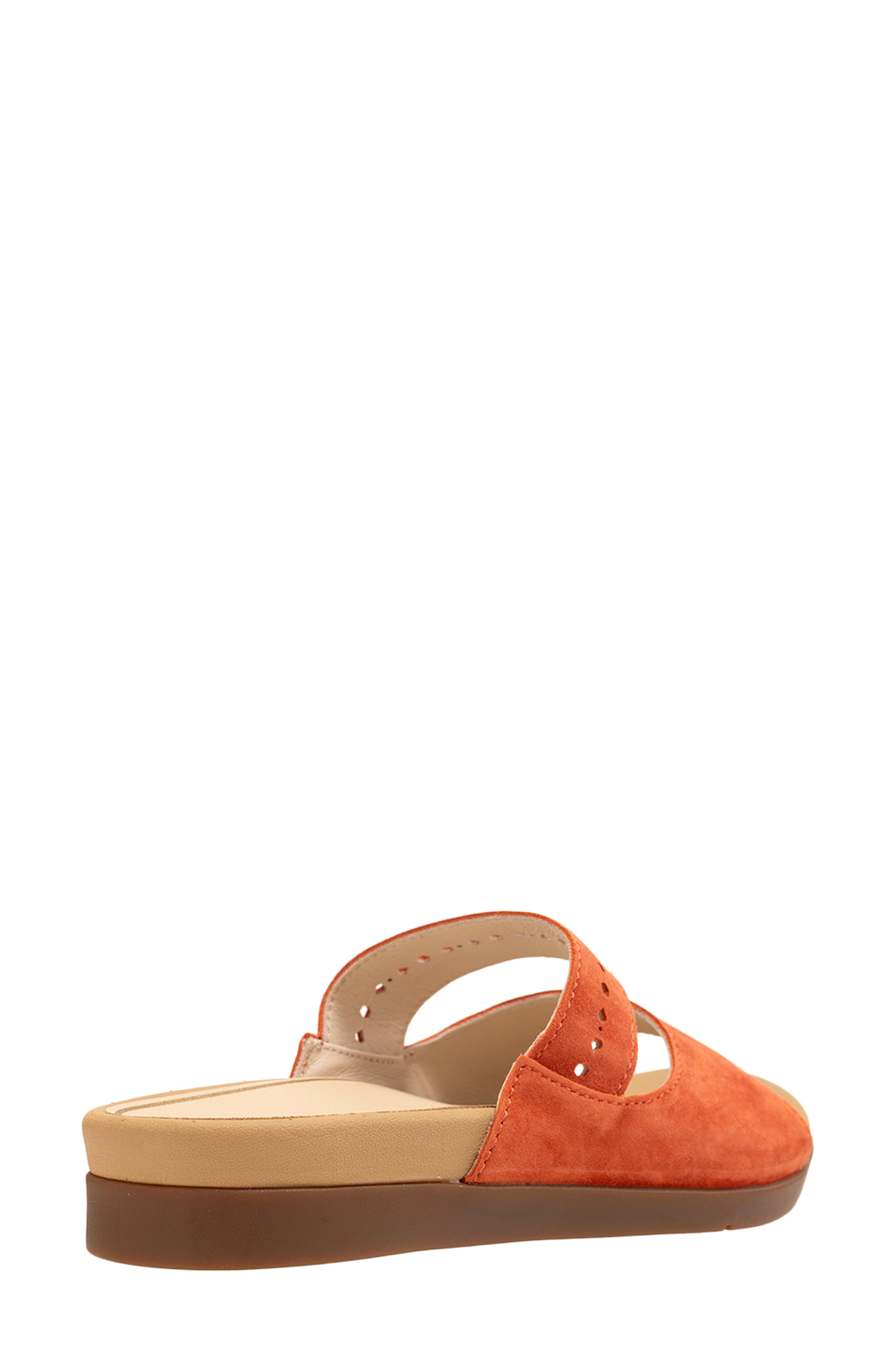 Corpus Double Strap Slide Sandal, Alternate, color, ROOIBOS TEA