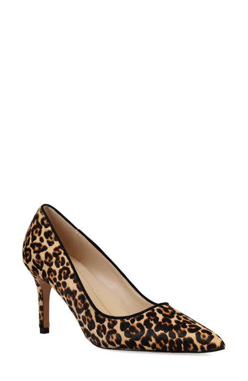 Pelle Moda Lizel 2 Pointed Toe Pump In Black