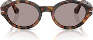 Persol Loris 53mm Oval Sunglasses
