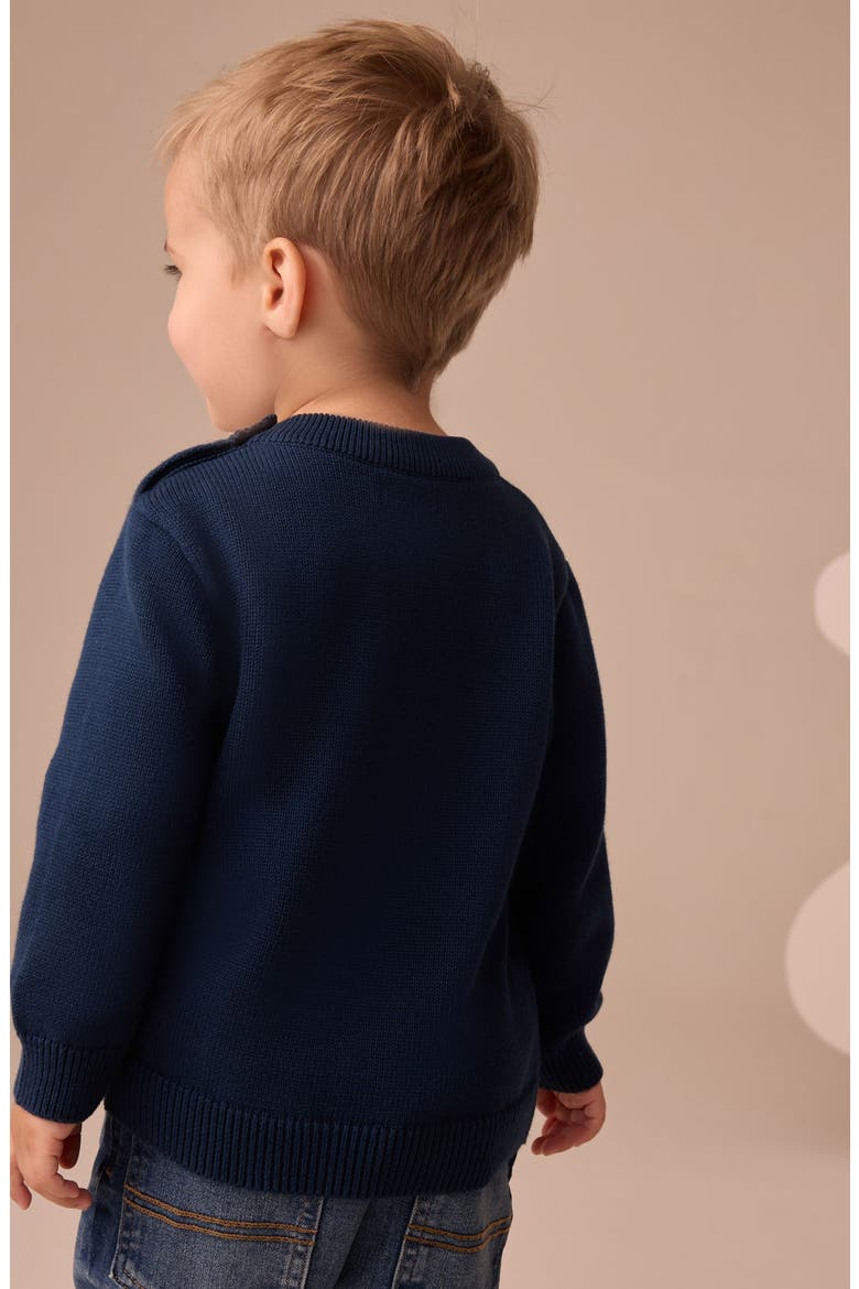 Kids' Raccoon Appliqué Sweater, Alternate, color, BLUE