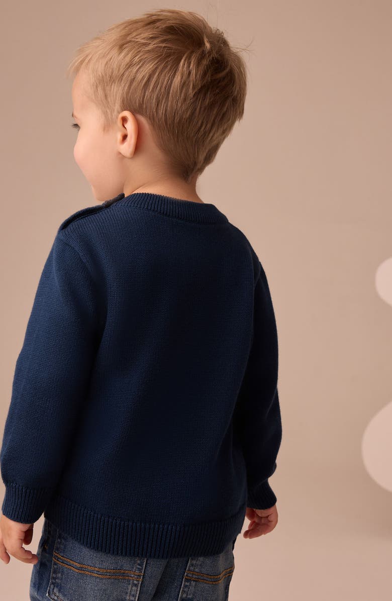 NEXT Kids' Raccoon Appliqué Sweater, Alternate, color, Blue