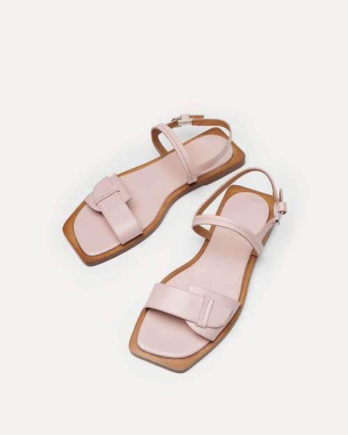 Shop Want Les Essentiels De La Vie Want Les Essentiels Holton Smooth Leather Flat Sandal In Blush
