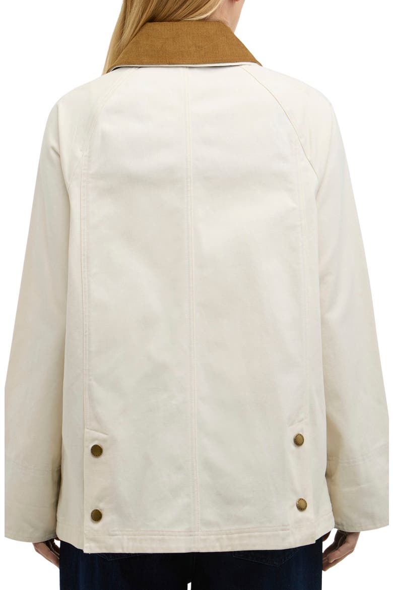 Modern Beadnell Cotton Jacket, Alternate, color, LIGHT PEARL/ DRESS