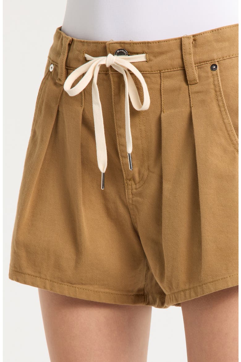 Drawstring Waist Pleated Cotton Twill Shorts, Alternate, color, ICED TEA