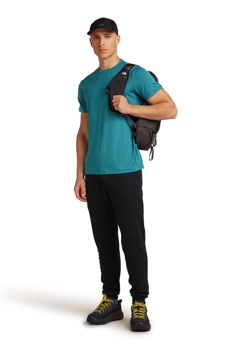 Icebreaker 300 Descender Joggers, Alternate, color, Black