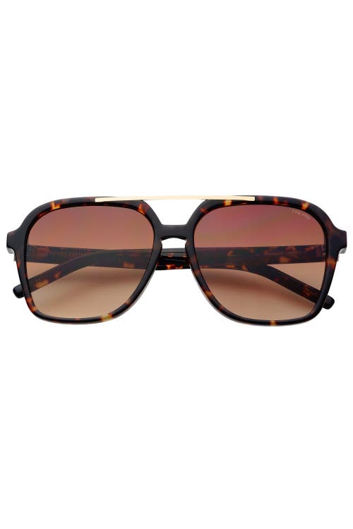 Freyrs Eyewear Spencer Aviator Sunglasses In Brown