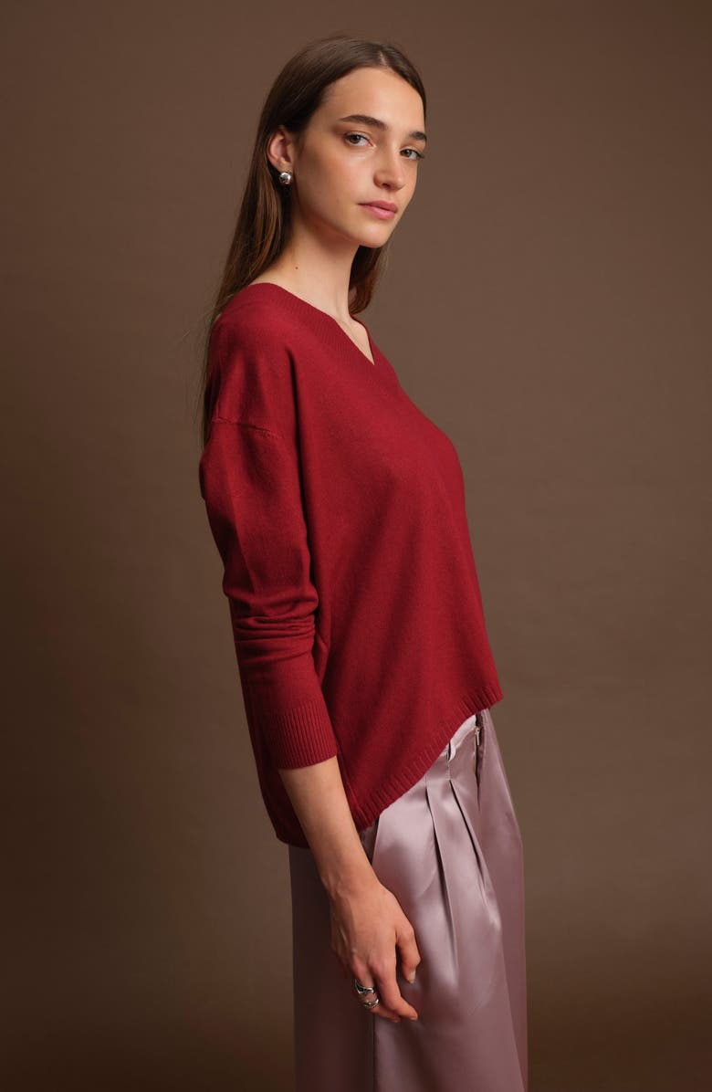 DELUC Betula V-Neck Sweater, Alternate, color, Malbec