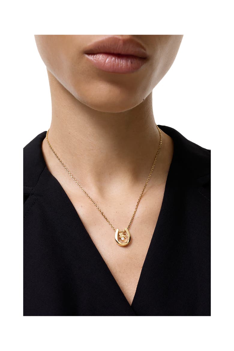 Horseshoe Necklace, Alternate, color, Gold/clear