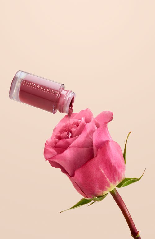 Youngblood Mineral Cosmetics Everglow Lip Oil In Pink