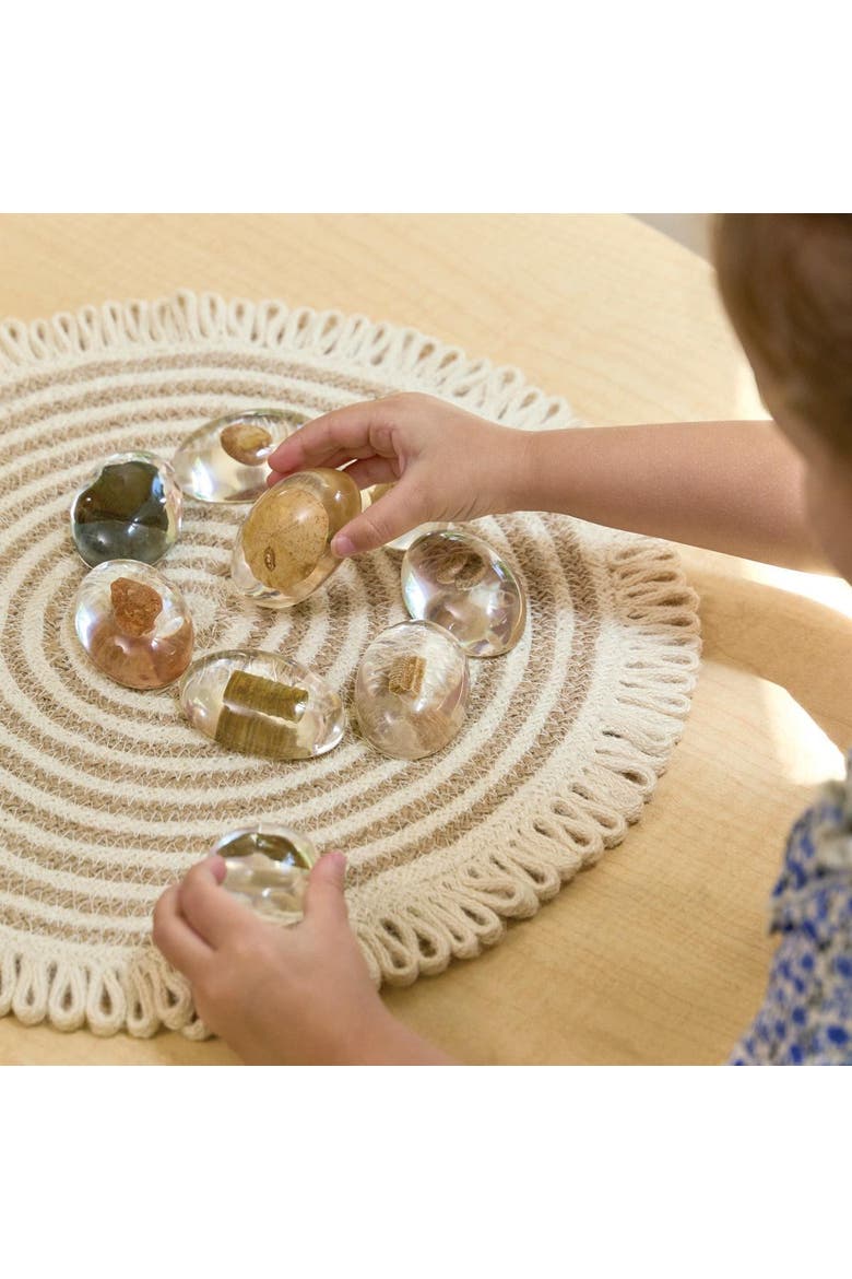 Specimen Stones Fossils - 9 Stones, Alternate, color, Multicolored