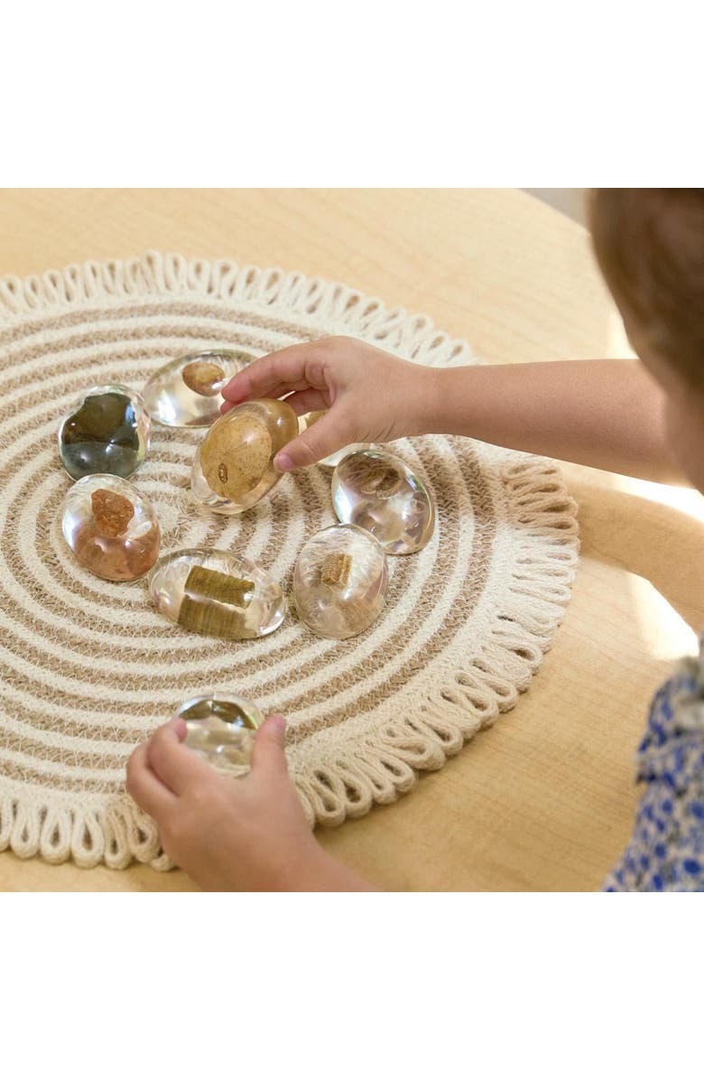 Kaplan Early Learning Company Specimen Stones Fossils - 9 Stones, Alternate, color, Multicolored