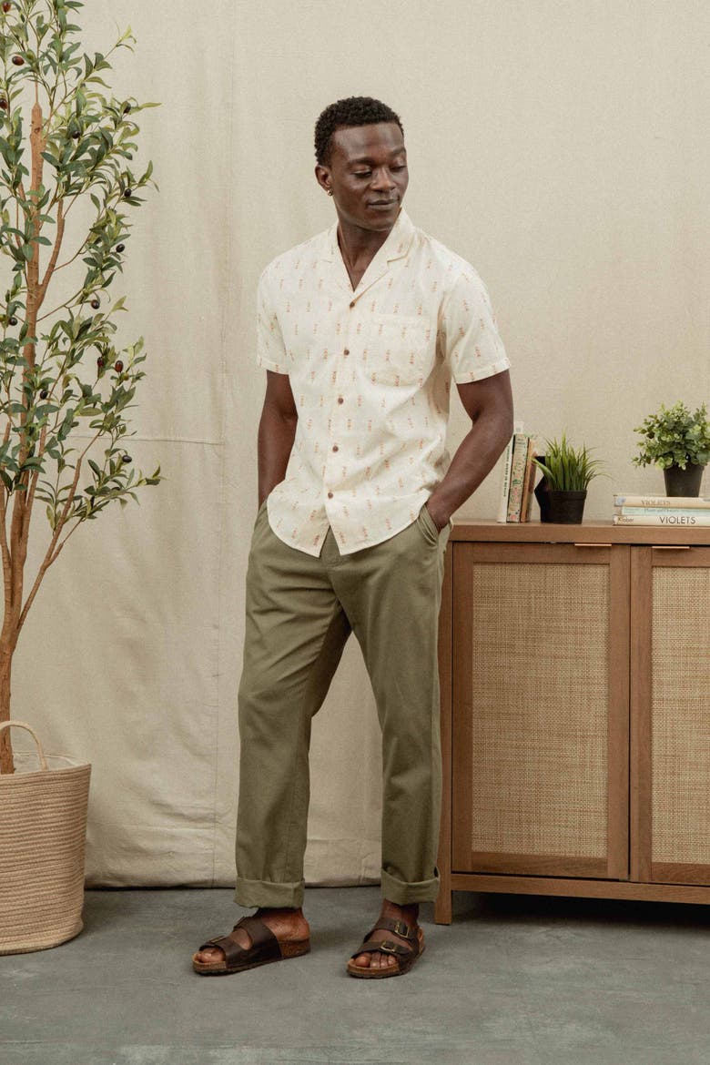 Collins Slim Shirt, Alternate, color, Dune Chevron