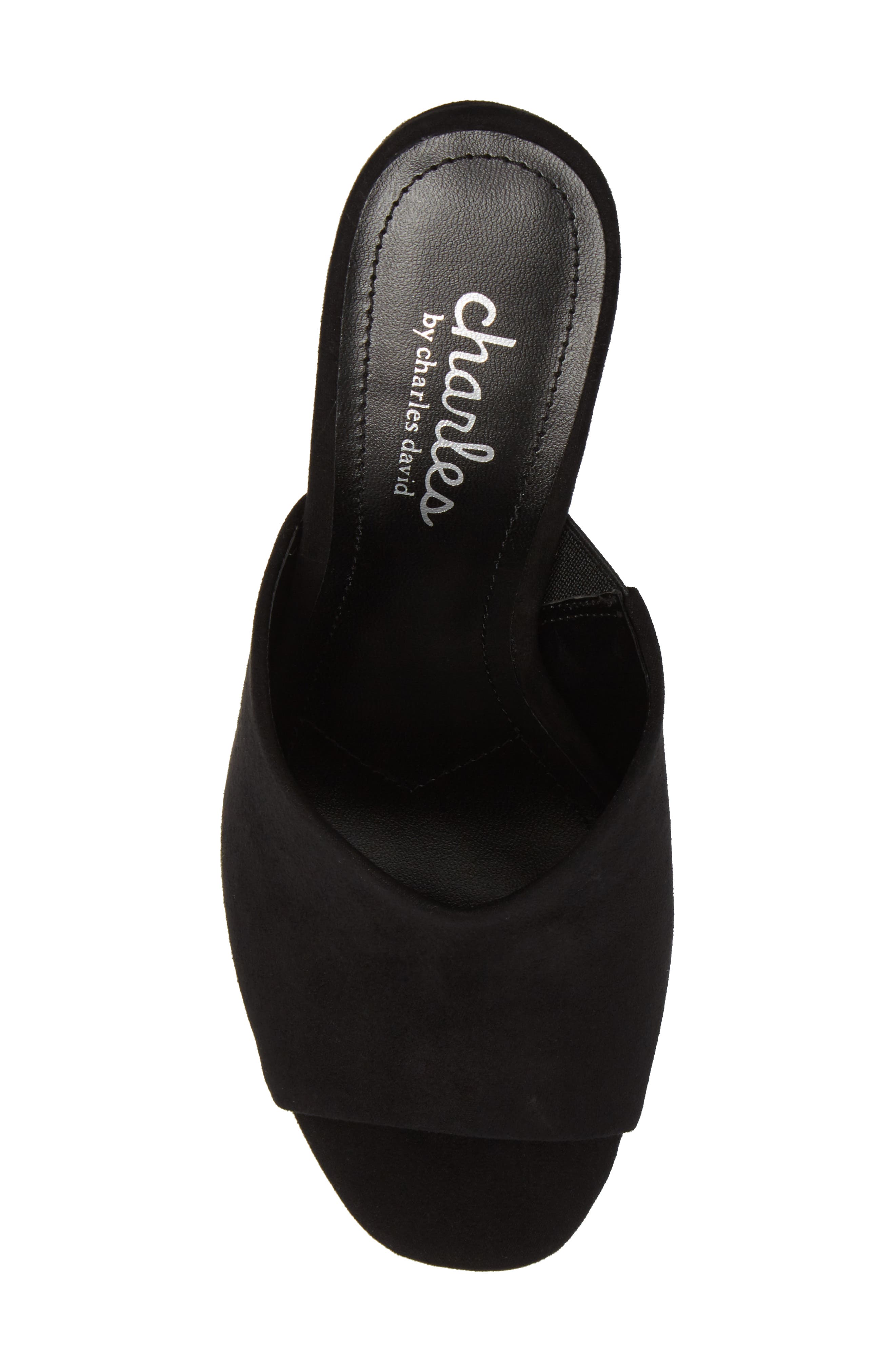 Charles by Charles David Hector Mule, Alternate, color, 