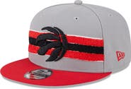 New Era Men's New Era Gray Toronto Raptors Chenille Band 9FIFTY Snapback Hat