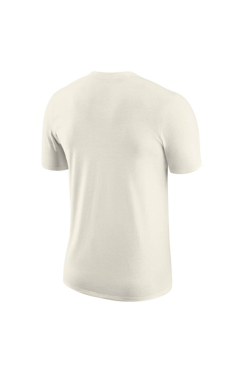 Nike Men's Nike Michigan State Spartans Natural Swoosh Max90 Loose Fit T-Shirt, Alternate, color, 