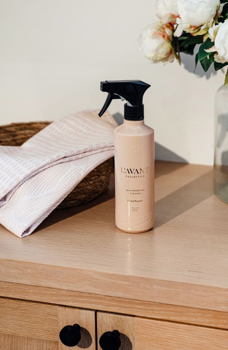 L'AVANT Collective x Geometry Cleaning Kit in Blushed Bergamot, Alternate, color, Pink