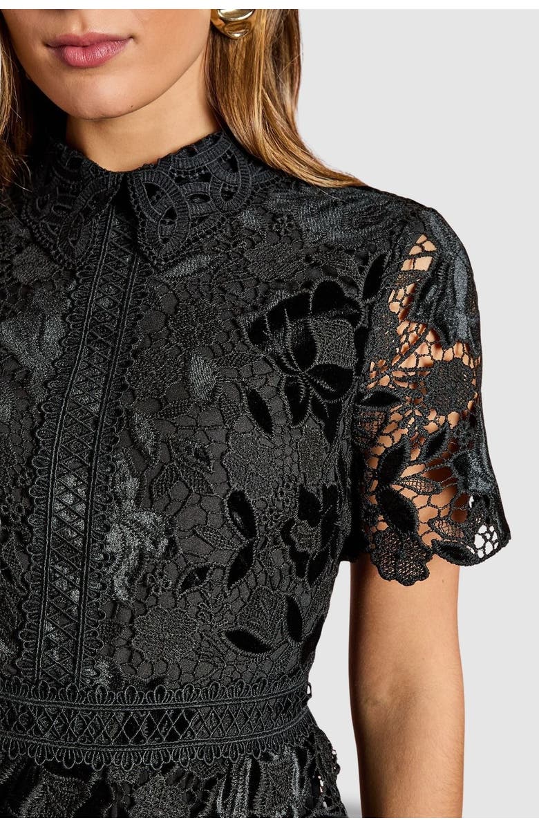 Coast Velvet Lace Collared Midi Dress, Alternate, color, Black