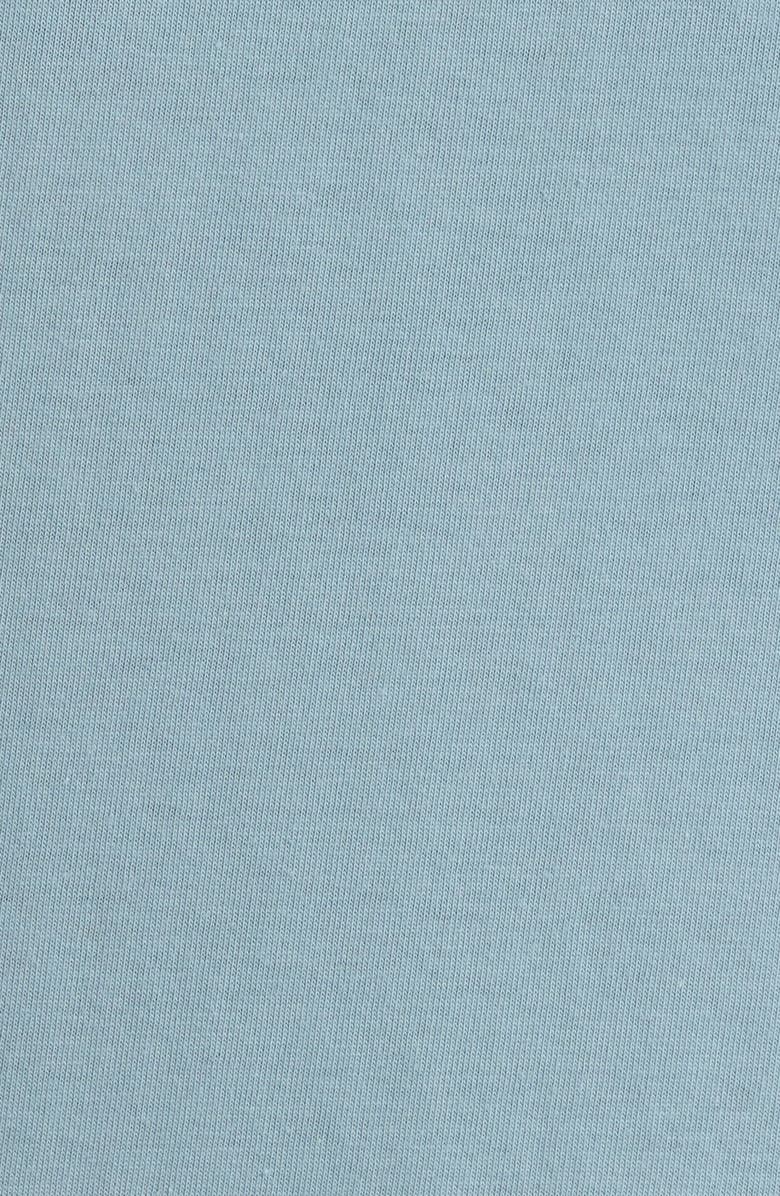 Carhartt Work In Progress Terra Organic Cotton Graphic T-Shirt, Alternate, color, Citadel