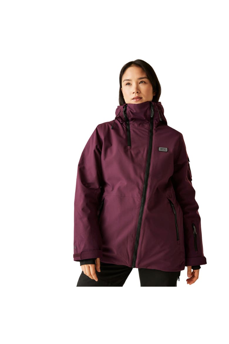 Gnarly Waterproof Ski Jacket, Alternate, color, Fig