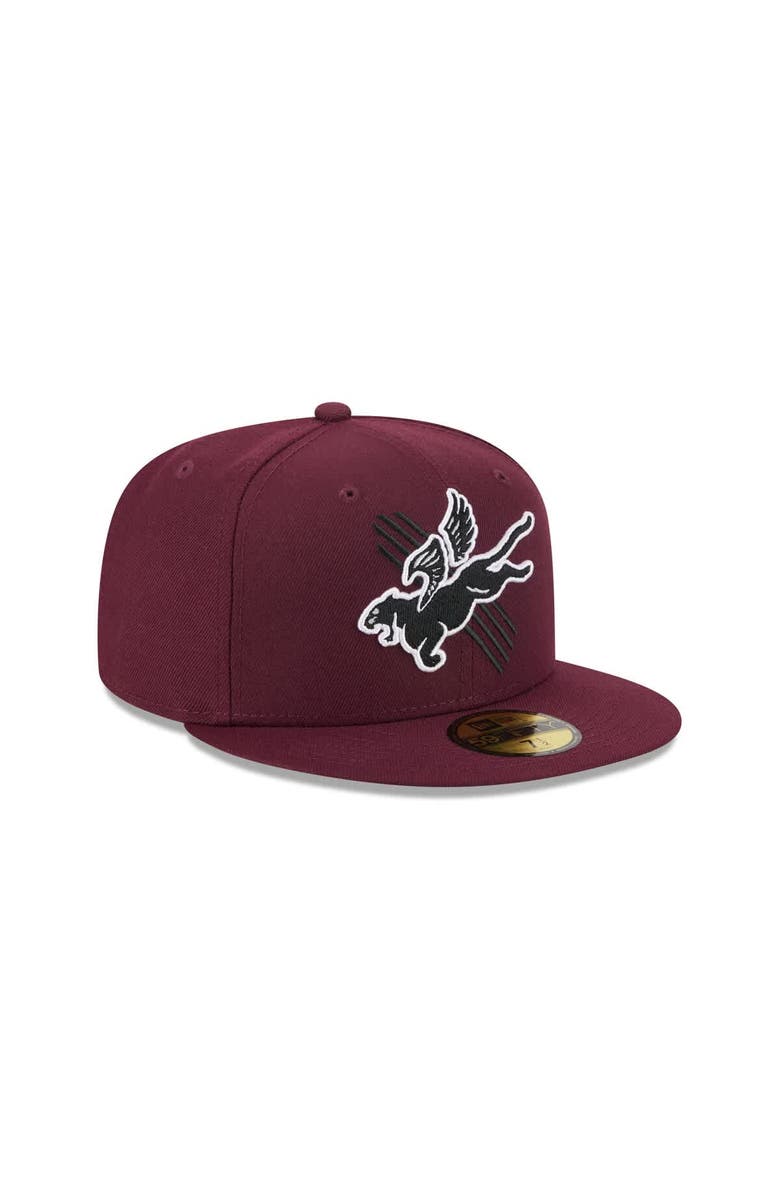 New Era Men's New Era  Maroon Fayetteville Woodpeckers Theme Nights 59FIFTY Fitted Hat, Alternate, color, 