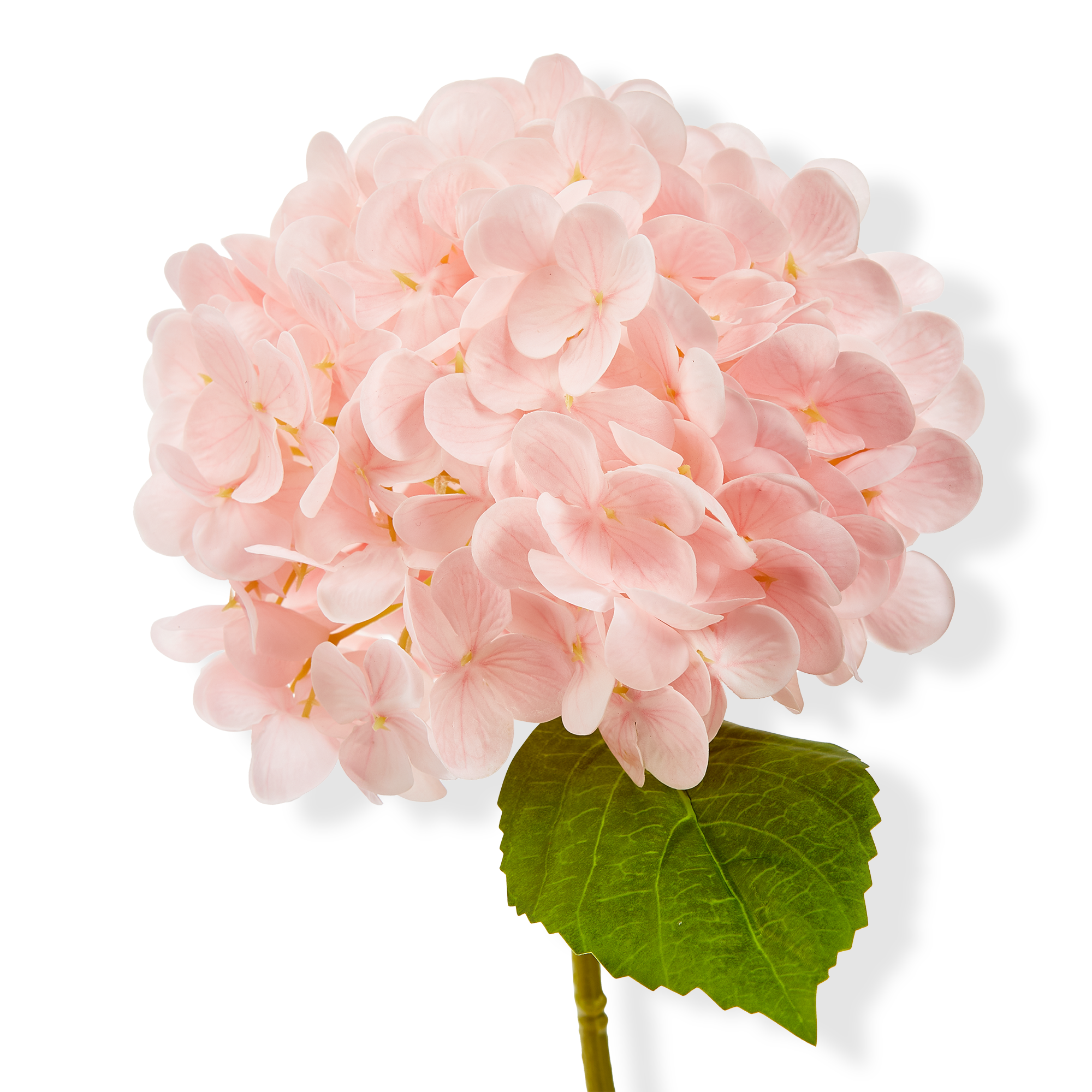 selected Pink