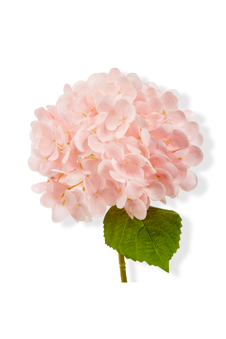 Soft Touch Faux Hydrangea Stem Pink Pink Plastic Spring, Main, color, Pink