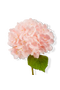 selected Pink