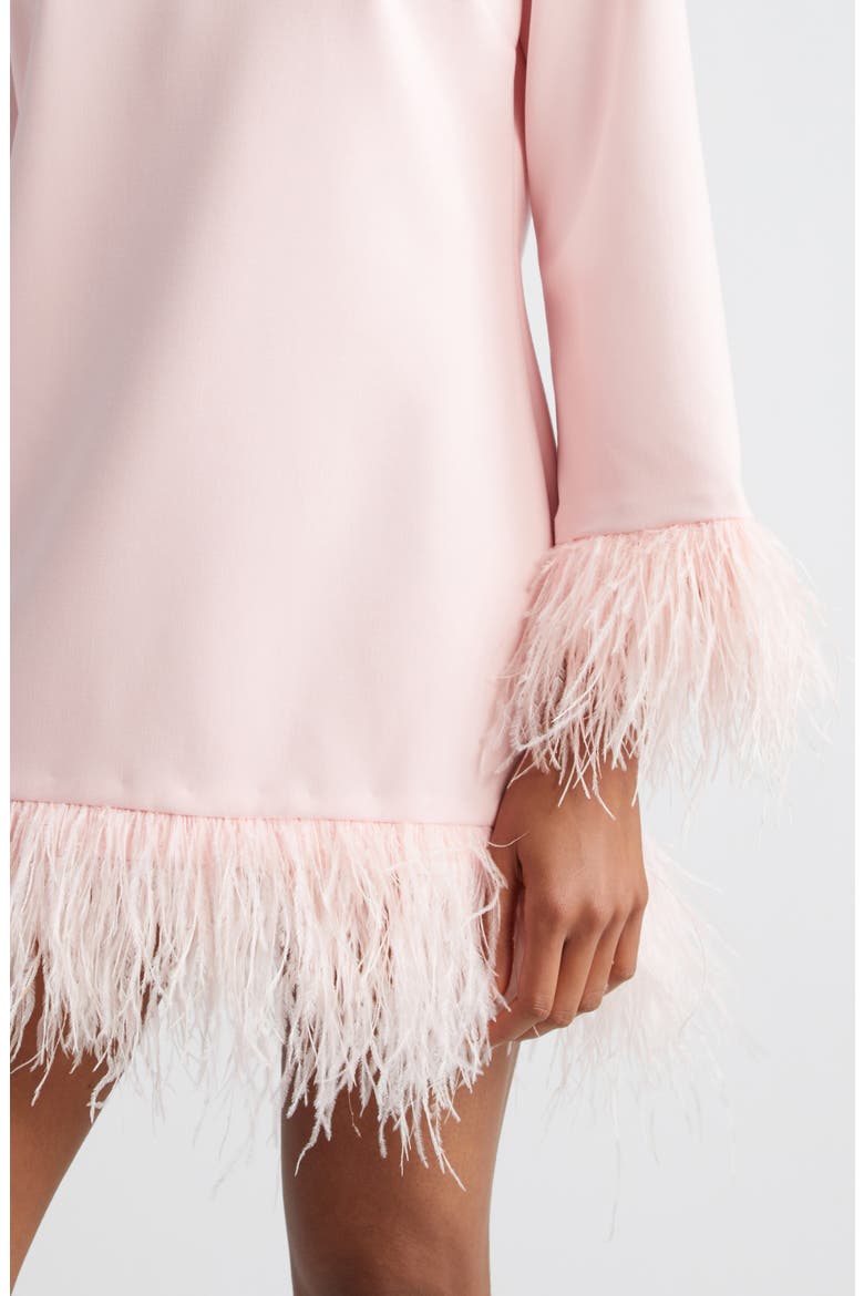 Marullo Feather Trim Long Sleeve Dress, Alternate, color, ROSE SHADOW
