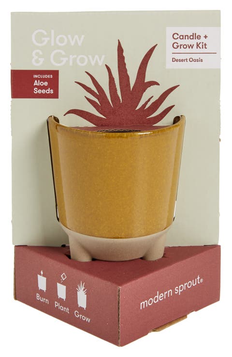 Glow & Grow Desert Oasis Garden Candle & Grow Kit