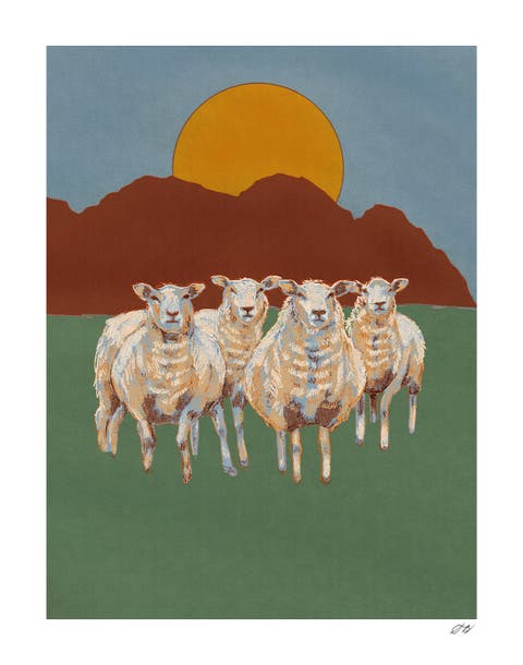 Sheep Print