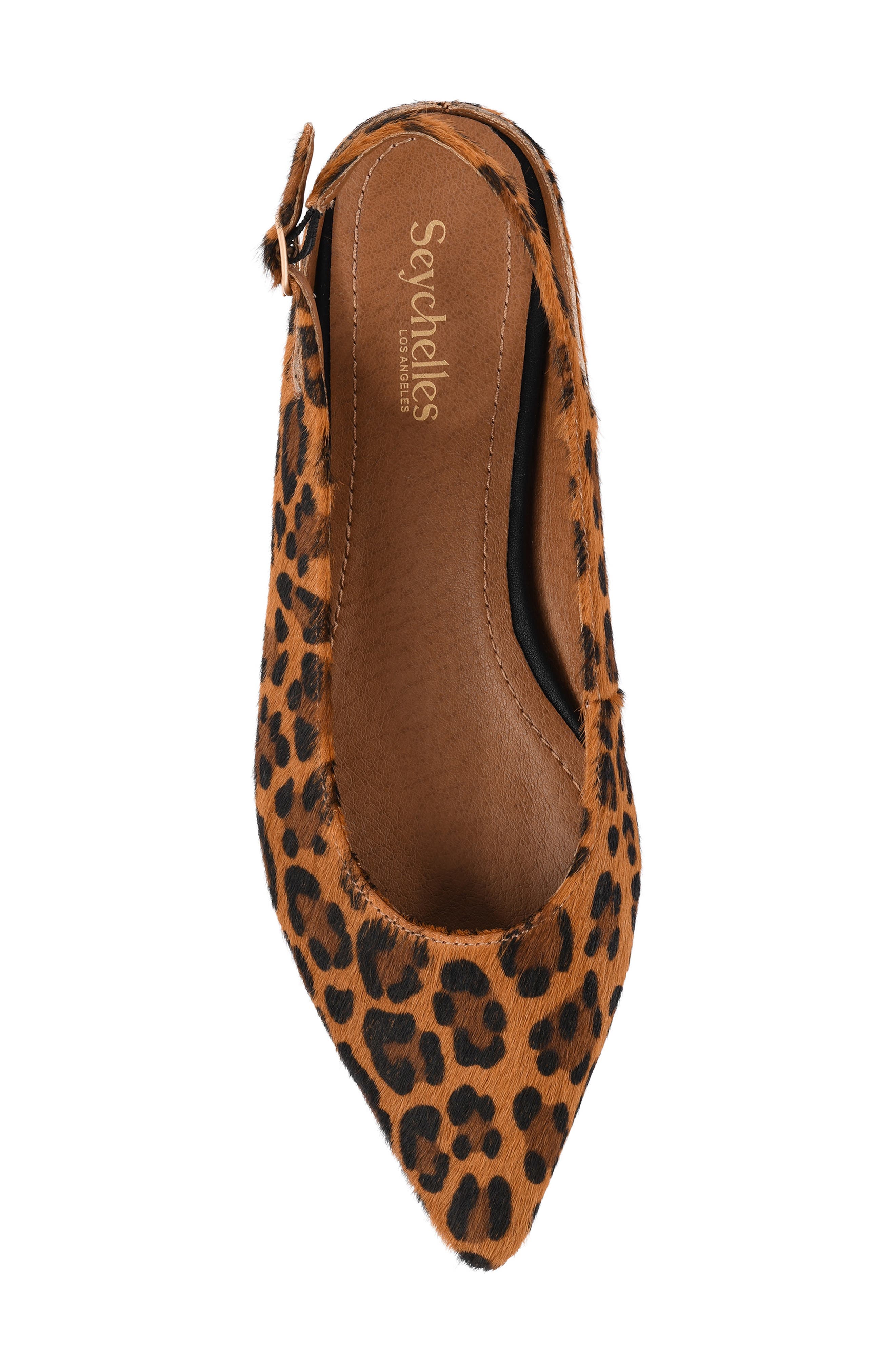 Alameda Pointed Toe Slingback Flat, Alternate, color, LEOPARD
