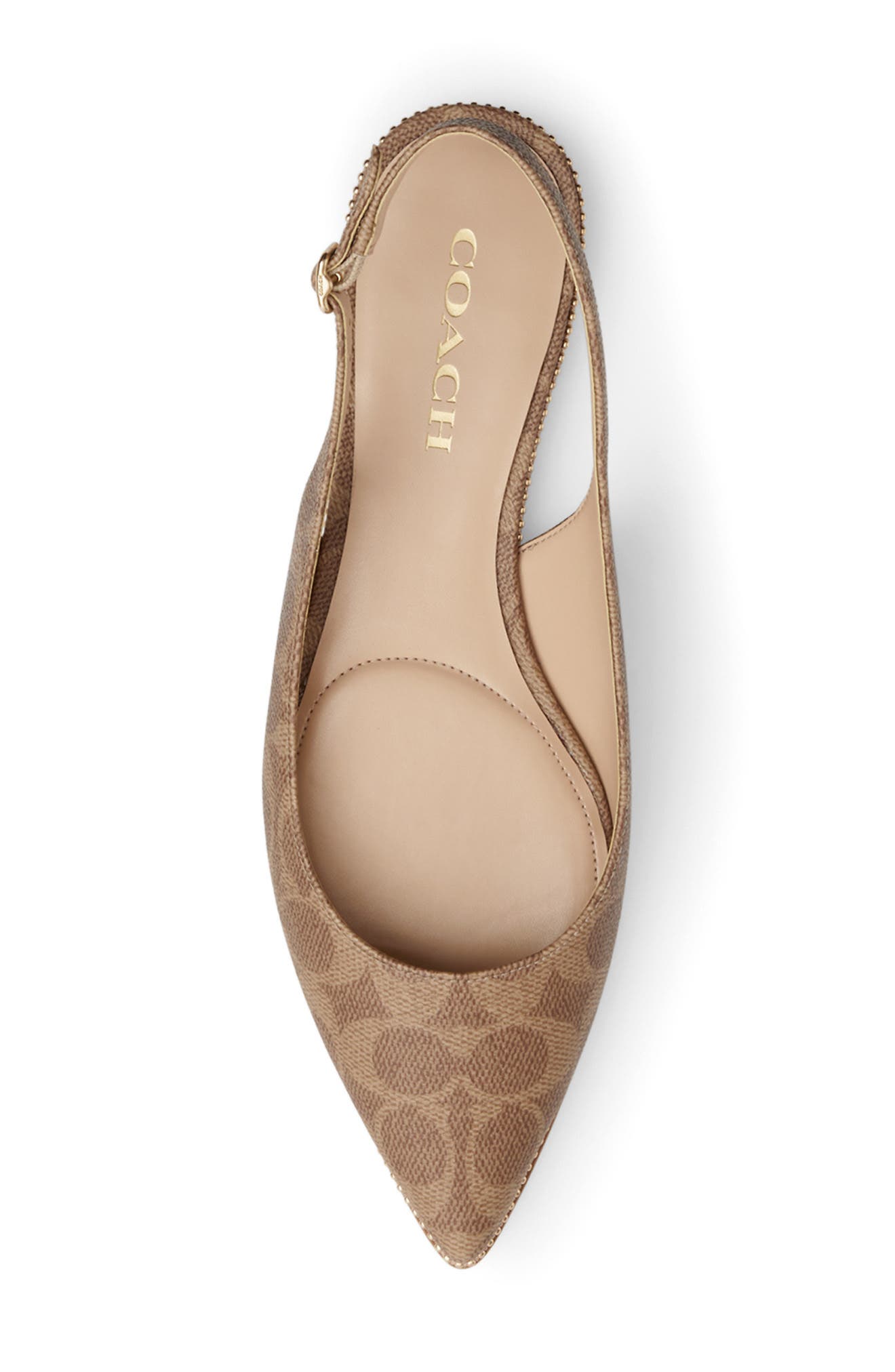 COACH Claire Slingback Pointed Toe Flat, Alternate, color, Tan