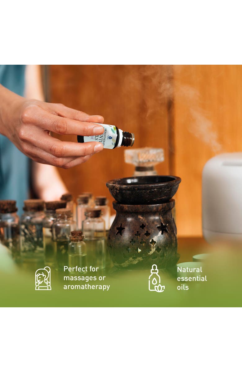 PURSONIC Lavender & Sea Salt Mist Spray + 14-Pack Essential Oil Gift Set for Aromatherapy & Wellness, Alternate, color, Multicolor