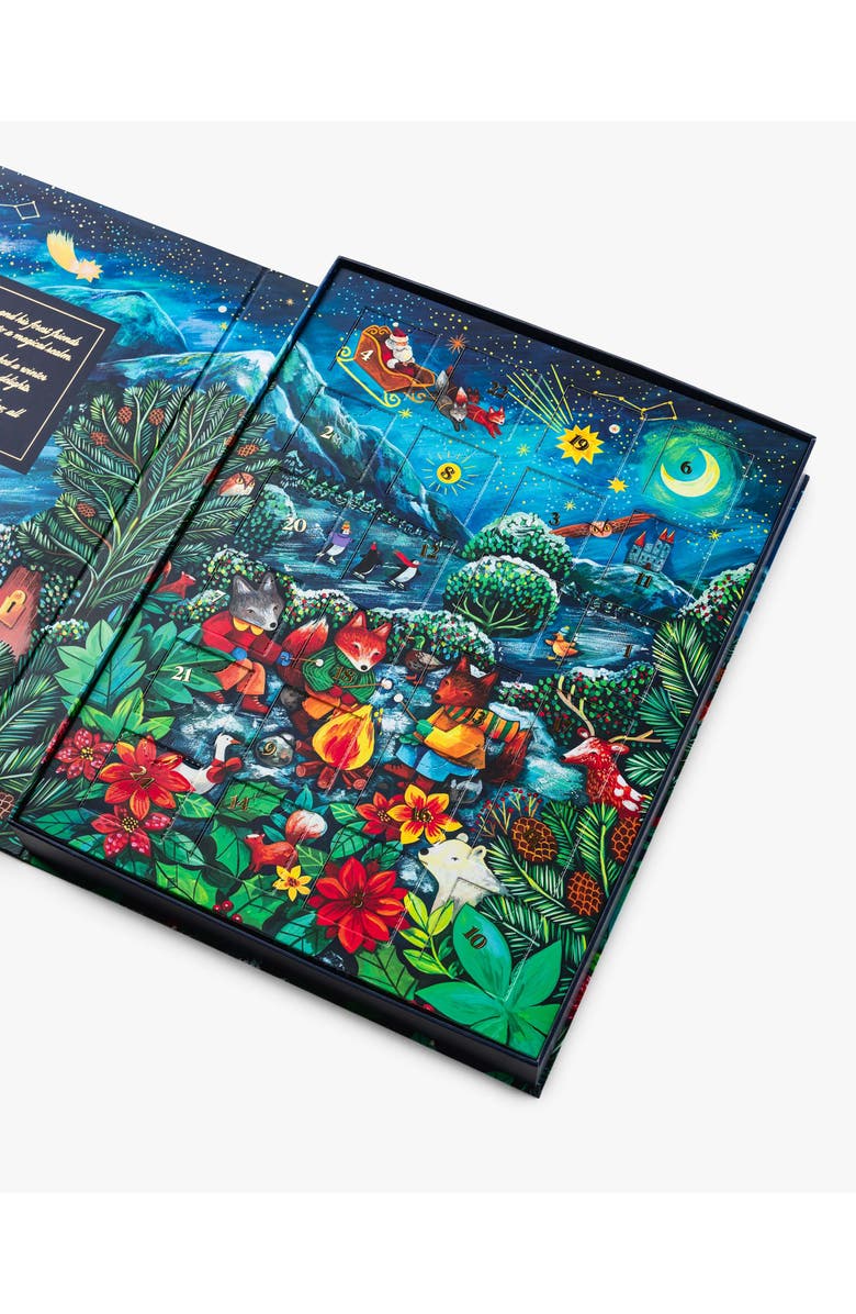 COMPARTES Winter Fox Chocolate Advent Calendar, Alternate, color, Blue Tones