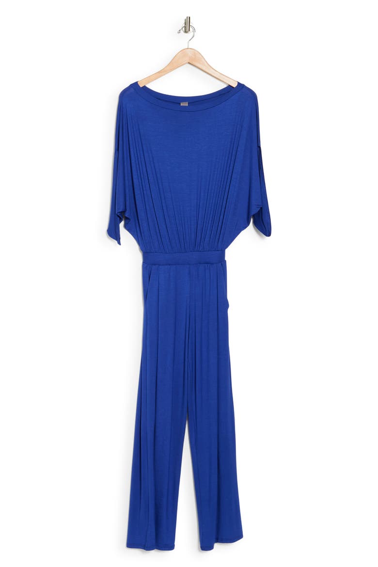 Raglan Sleeve Jumpsuit, Alternate, color, ROYAL