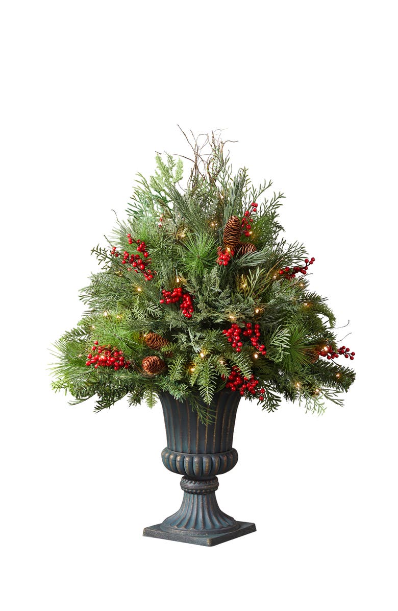 Balsam Hill Outdoor Red Berry Pine Potted Arrangement, Main, color, Red & Green