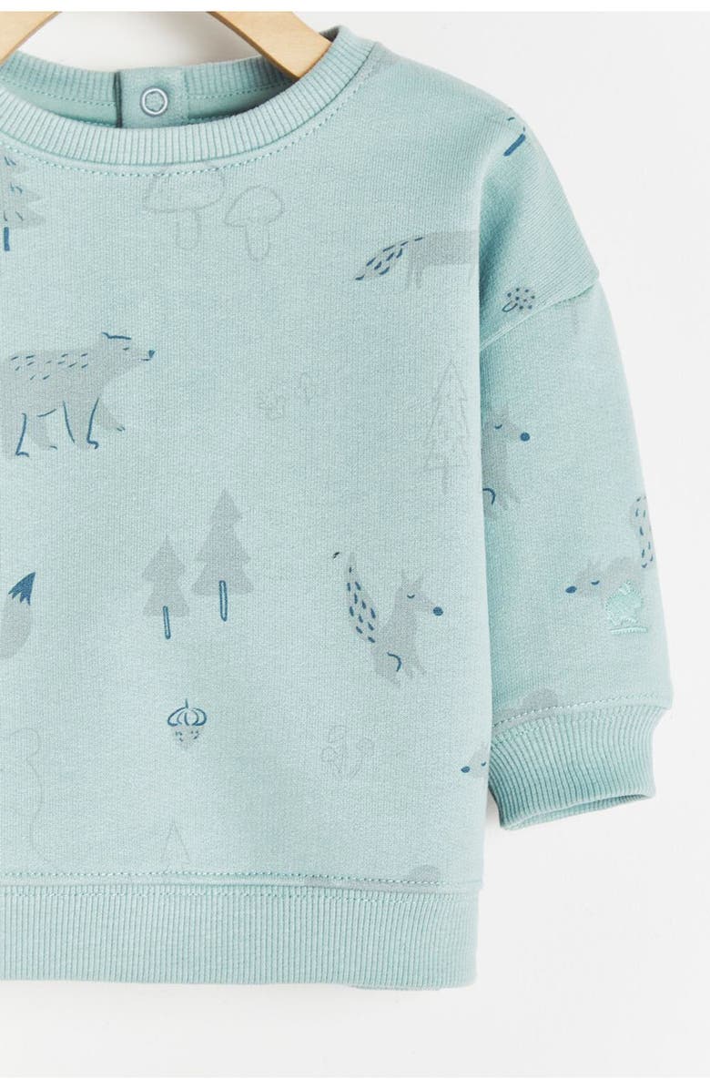 Babycottons Premium Cotton Merlin Print Sweatshirt For Infant, Alternate, color,