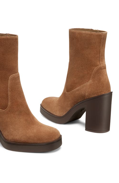 Shop Stuart Weitzman Bethenny 80 Zip Bootie