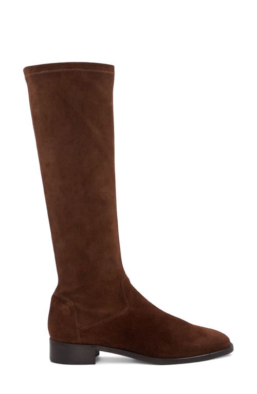 Aquatalia Sabrena Water Resistant Knee High Boot In Brown