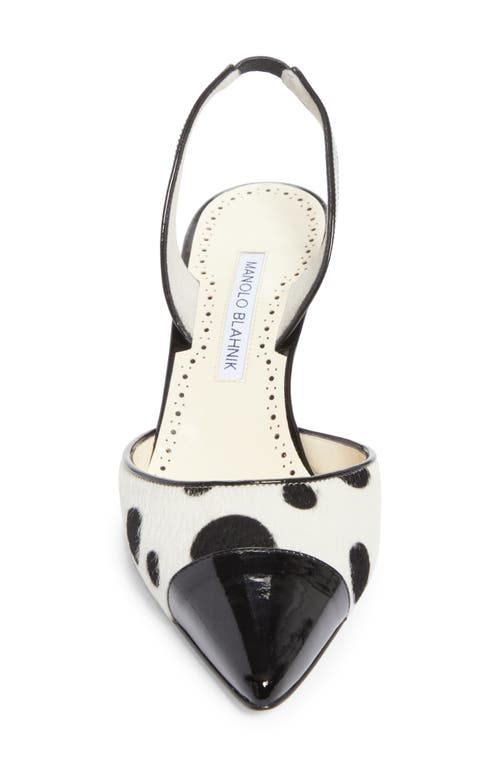 Manolo Blahnik Capsli Pointed Toe Slingback Pump