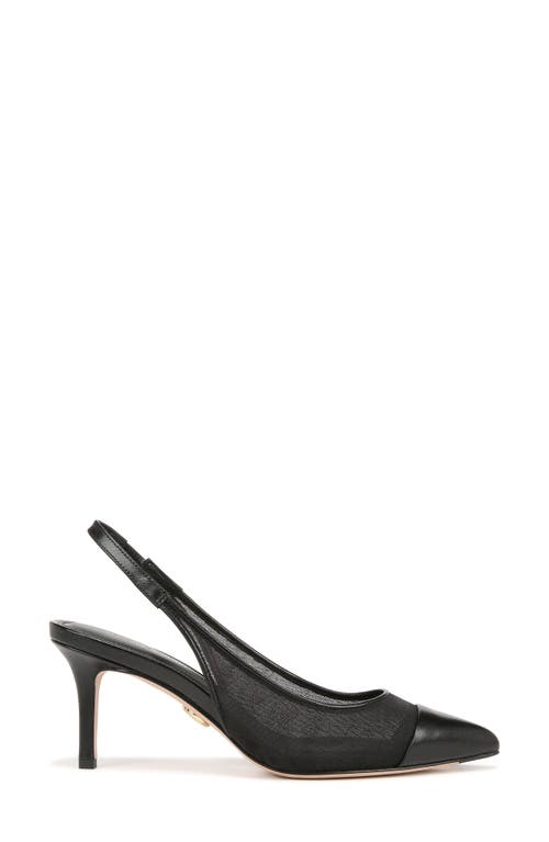 Veronica Beard Liliana Slingback Pointed Toe Pump In Black