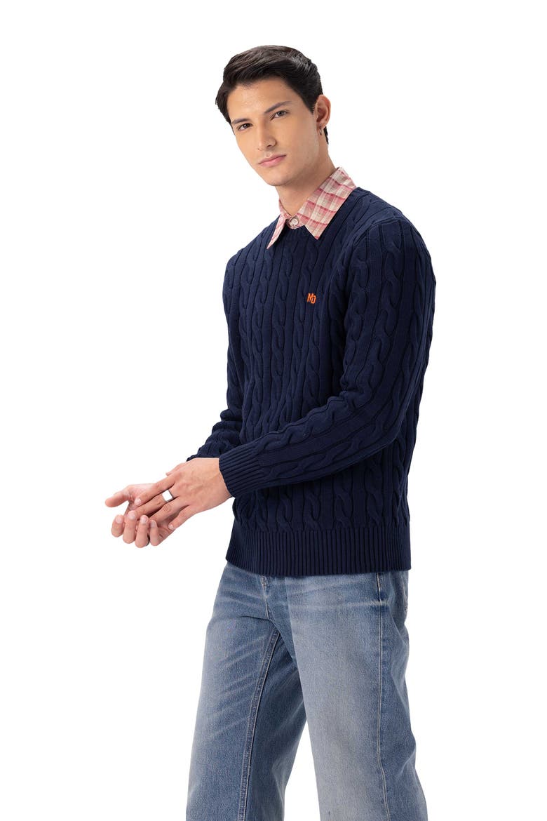 Men's Crew Neck Cable Sweater, Alternate, color, Navy