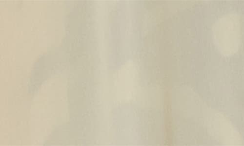 Conner Ives Hand Painted Zebra Print Long Sleeve Silk Chiffon Caftan In Gray