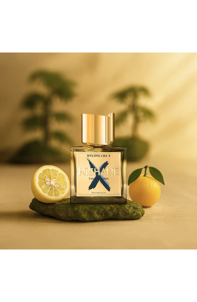 Nishane Wulong Cha X Extrait De Parfum, Alternate, color, NO COLOR