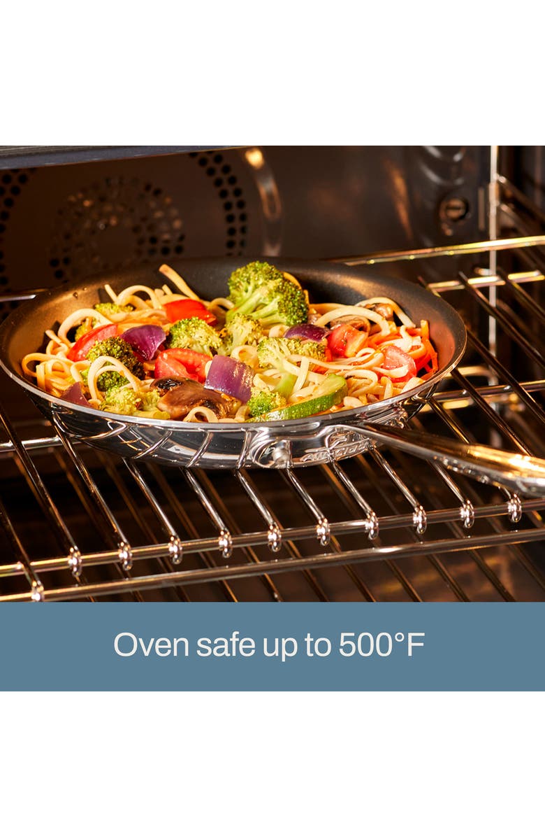 All-Clad D3 Pro 10-Piece Nonstick Cookware Set, Alternate, color, Silver