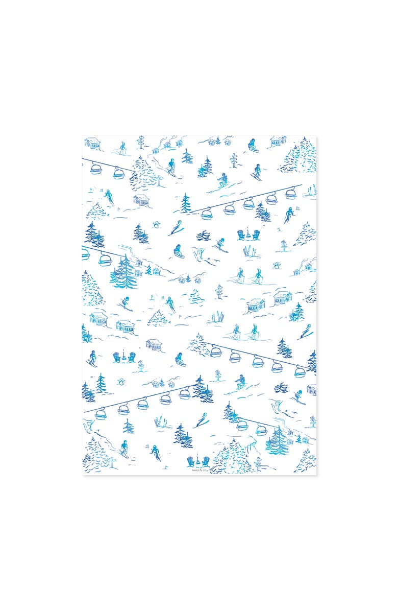 Ramus & Co Two-Sided "Ski Toile" Heavyweight Christmas/Holiday Gift Wrap, Alternate, color, Multicolored