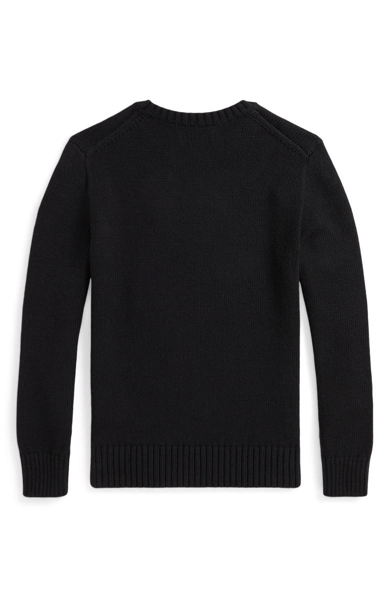 Polo Ralph Lauren Kids' Graphic Sweater, Alternate, color, 