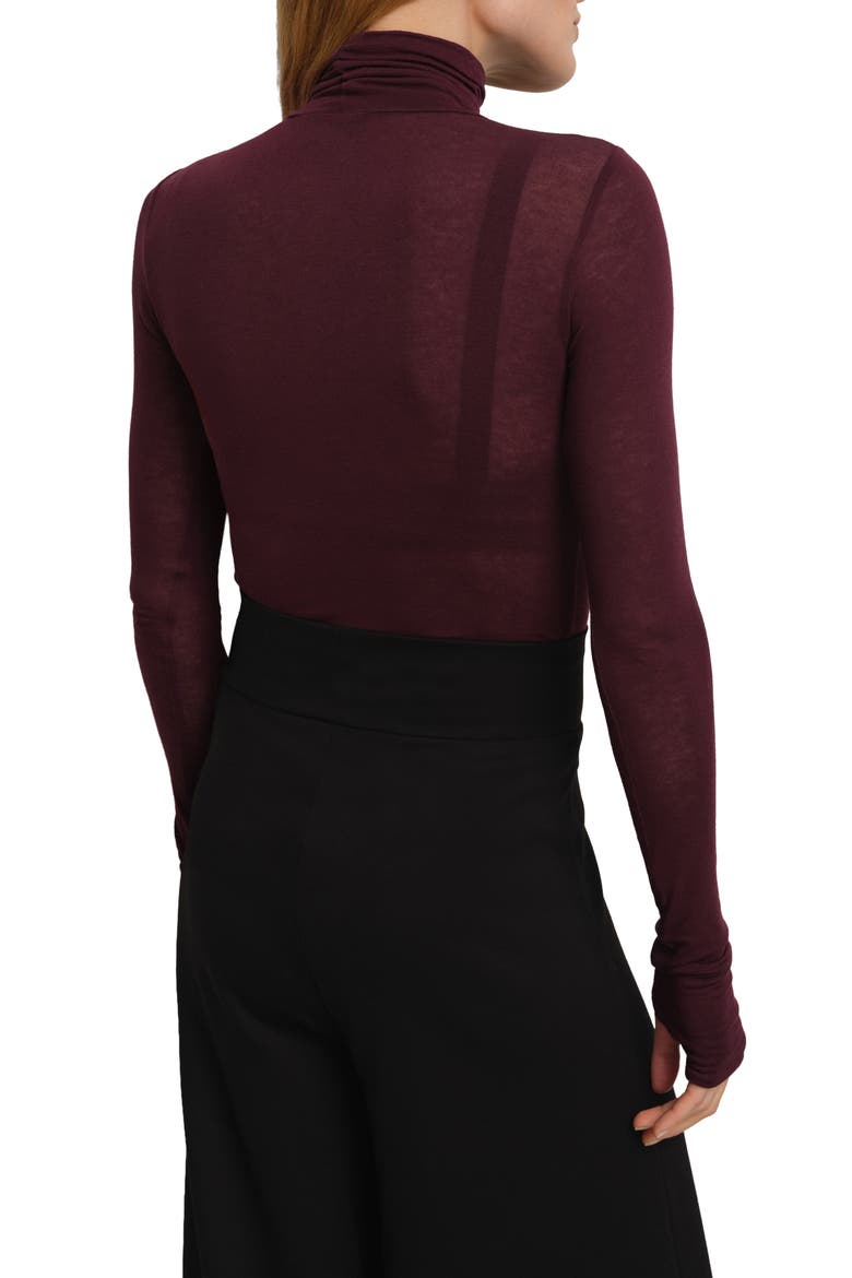 Eloise Sheer Turtleneck, Alternate, color, BURGUNDY