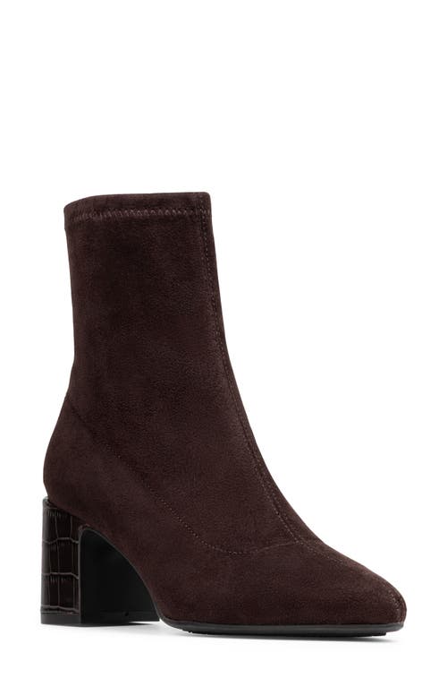Donald Pliner Tomos Block Heel Bootie In Brown